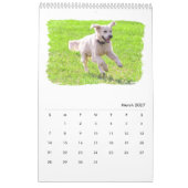 Goldene Retriever Kalender (Mär 2027)