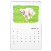 Goldene Retriever Kalender (Feb 2027)