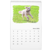 Goldene Retriever Kalender (Mär 2026)