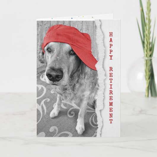 Goldene Retriever Karte (Vorderseite)