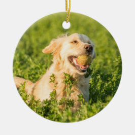 Goldene Retriever Keramik Keramik Ornament