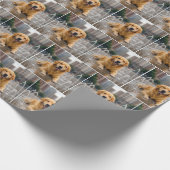 Goldene Retriever Kühlung in einem Splash Pad Geschenkpapier (Ecke)