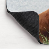 Goldene Retriever Kunst Mousepad (Ecke)