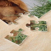 Goldene Retriever Kunst Puzzle (Seite)