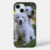 Goldene Retriever Mama und Welpe