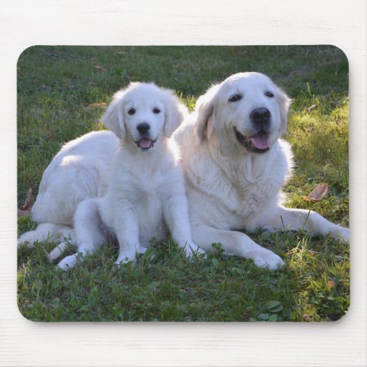 Goldene Retriever Mama und Welpe Mousepad (Vorne)