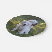 Goldene Retriever Mama und Welpe Pappteller (Schrägansicht)