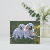 Goldene Retriever Mama und Welpe Postkarte (Stehend Vorderseite)