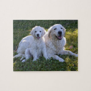Goldene Retriever Mama und Welpe Puzzle