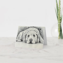 Goldene Retriever-Mitteilungskarten