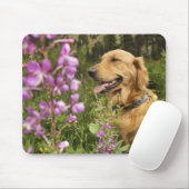 Goldene Retriever Mousepad (Mit Mouse)