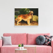 Goldene Retriever Panting Leinwanddruck (Insitu (Wohnzimmer))