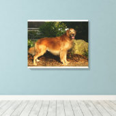 Goldene Retriever Panting Leinwanddruck (Insitu (Holzboden))