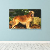 Goldene Retriever Panting Leinwanddruck (Insitu (Holzboden))