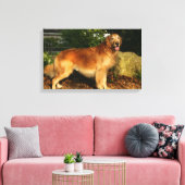 Goldene Retriever Panting Leinwanddruck (Insitu (Wohnzimmer))