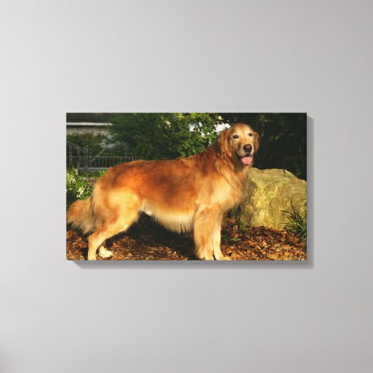 Goldene Retriever Panting Leinwanddruck (Vorderseite)