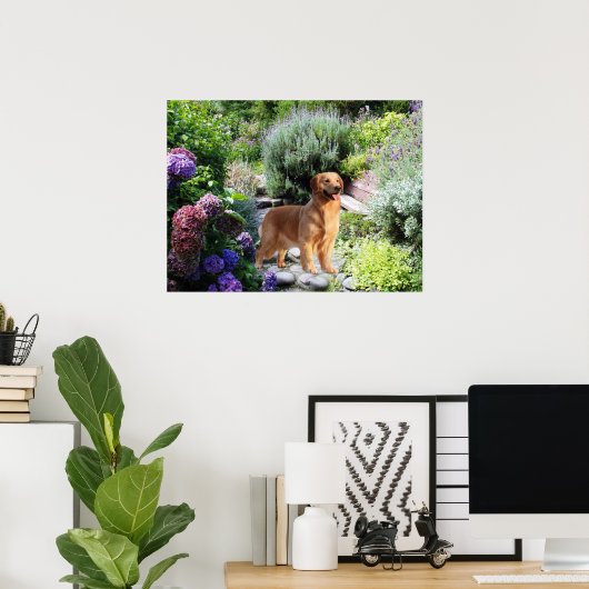 Goldene Retriever Poster (Heimbüro)
