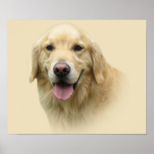 Goldene Retriever Poster
