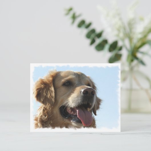 Goldene Retriever Postkarte (Stehend Vorderseite)