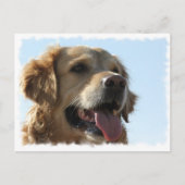 Goldene Retriever Postkarte (Vorderseite)