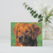 Goldene Retriever Postkarte (Stehend Vorderseite)