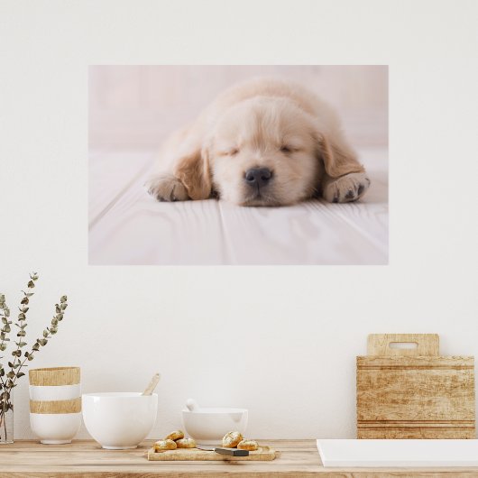 Goldene Retriever Schlafen Poster (Küche)