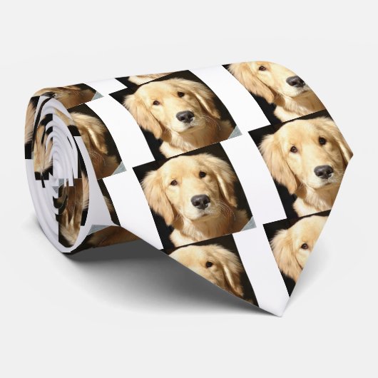 Goldene Retriever-Schließung Krawatte (Gerollt)