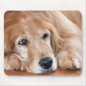 Goldene Retriever-Schließung Mousepad (Vorne)