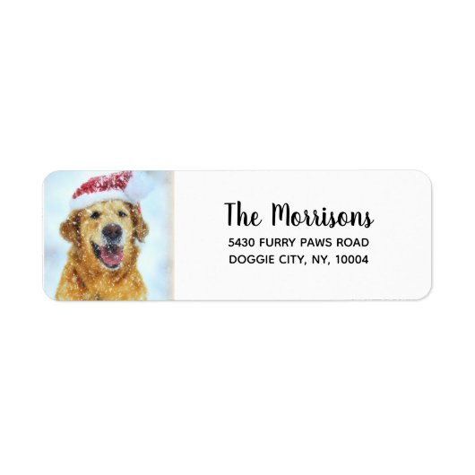 Goldene Retriever-Weihnachtsmannmütze, benutzerdef (Vorne)