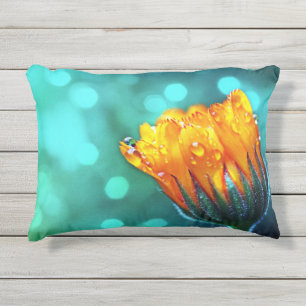 Goldene Ringelblume auf Teal Bokeh Kissen Für Draußen
