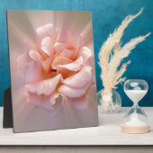 Goldene Rosa Fotoplatte (Seite)