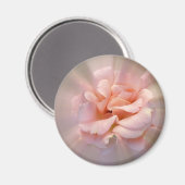 Goldene Rosa Magnet (Vorderseite/Rückseite)