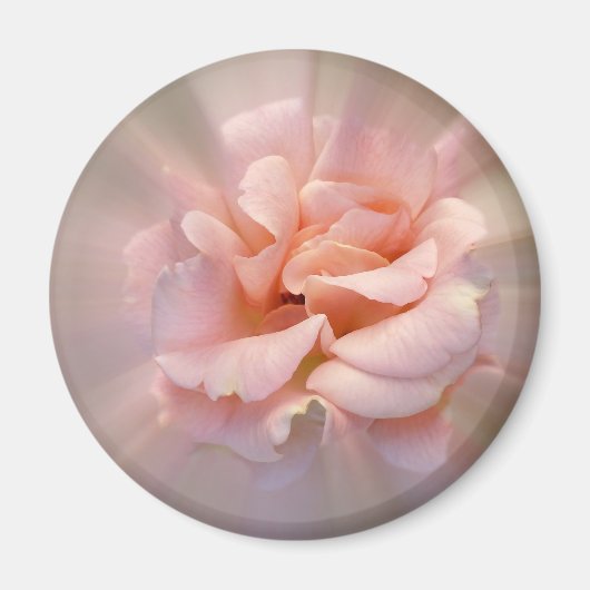 Goldene Rosa Magnet (Vorne)