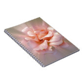 Goldene Rosa Notizblock (Rechte Seite)