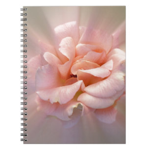 Goldene Rosa Notizblock