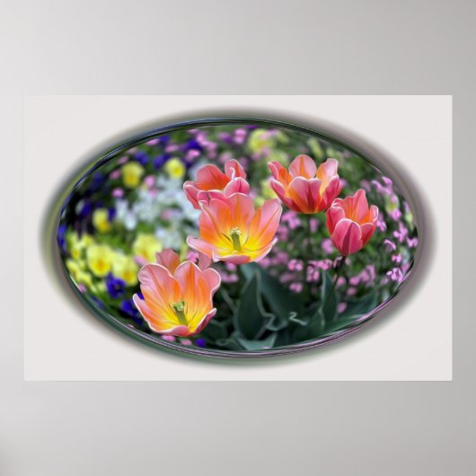 Goldene rosa Tulpen Poster (Vorne)