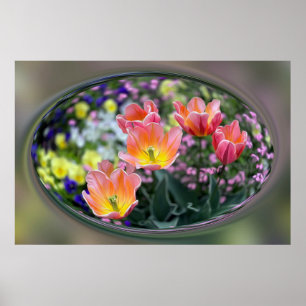 Goldene Rosa Tulpen Poster