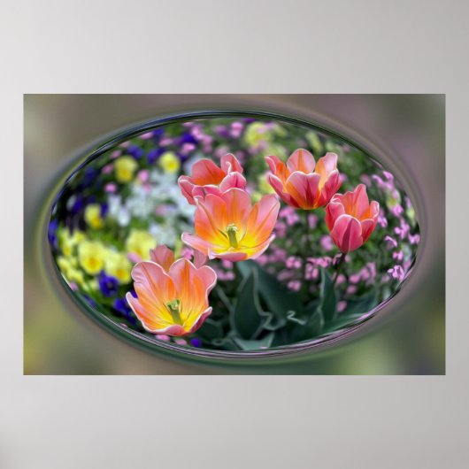Goldene Rosa Tulpen Poster (Vorne)