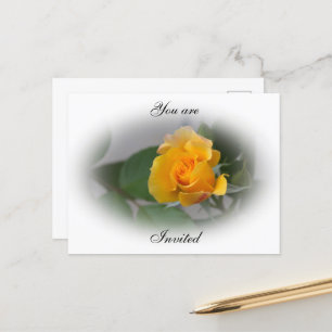 Goldene Rose Ankündigungskarte Ankündigungspostkarte