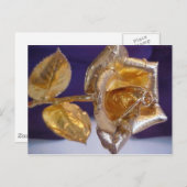 Goldene Rose - ewig Liebe Postkarte (Vorne/Hinten)