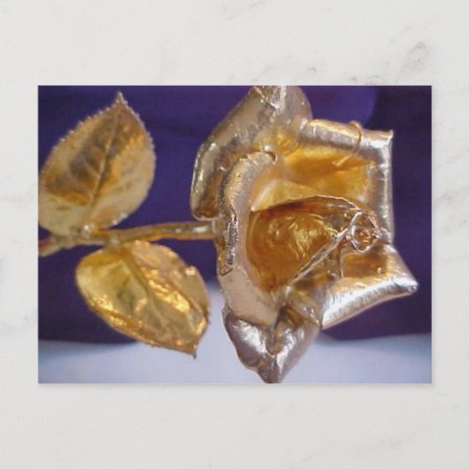 Goldene Rose - ewig Liebe Postkarte (Vorderseite)