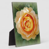 Goldene Rose Fotoplatte (Seite)