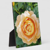 Goldene Rose Fotoplatte (Seite)