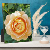 Goldene Rose Fotoplatte (Seite)