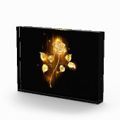 Goldene Rose (goldene Rose) Fotoblock (Rechts)