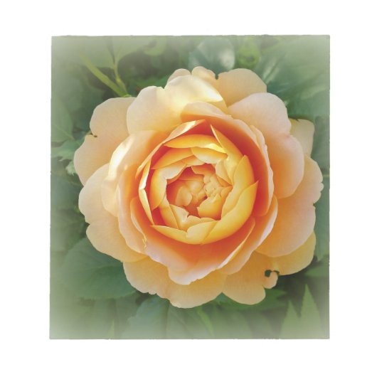 Goldene Rose Notizblock (Vorderseite)
