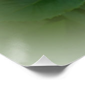 Goldene Rose Poster (Ecke)