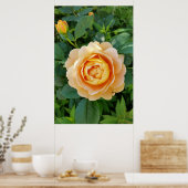 Goldene Rose Poster (Küche)