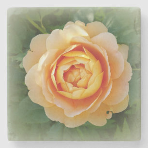 Goldene Rose Steinuntersetzer
