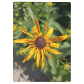 Goldene Schwarzäugige Susanne Blumen Klemmbrett |  (Rückseite)